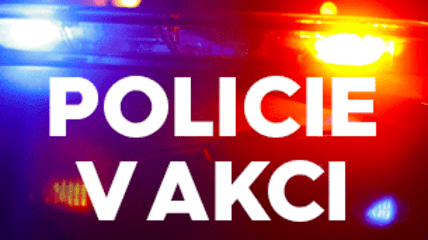 Policie v akci
